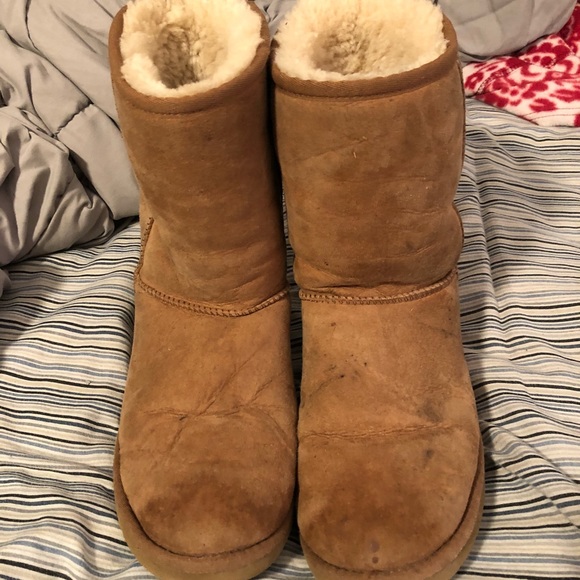 UGG Shoes - chestnut brown uggs.